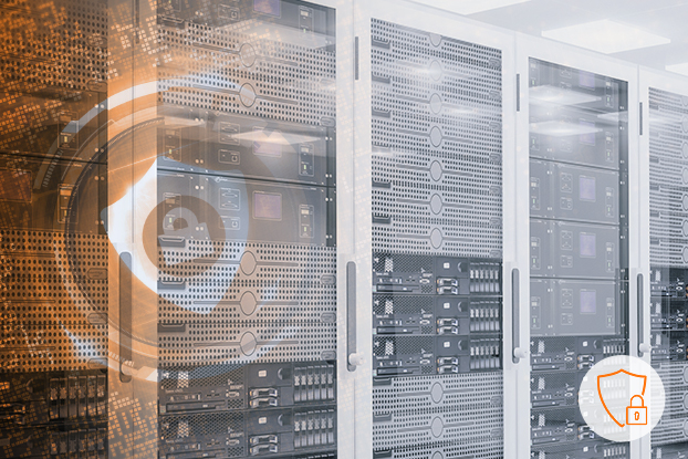ecotel DDoS Protection