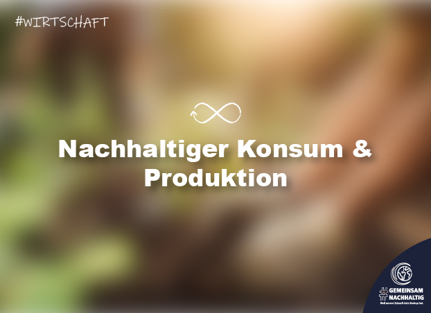 Nachhaltigkeits-Teaser: Wirtschaft – Nachhaltiger Konsum & Produktion